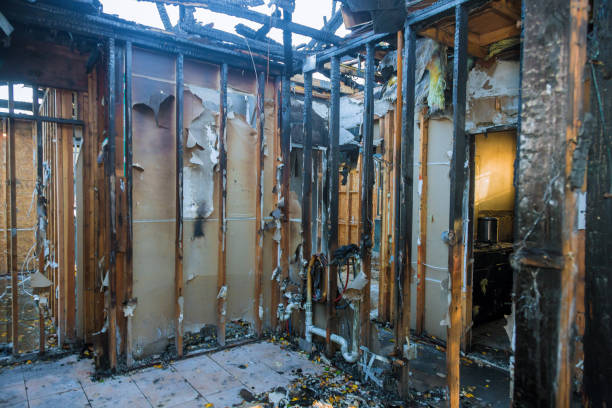 Professional Smoke Odor Removal technician working in Englewood, NJ